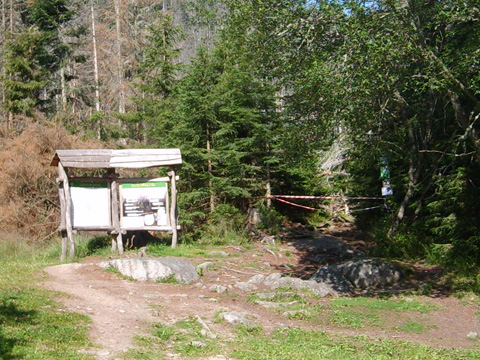 Foto 20